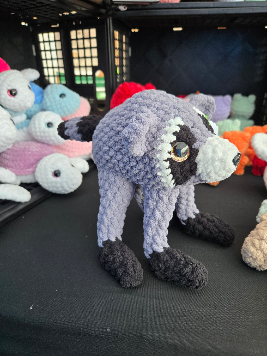 Jimothy the Raccoon